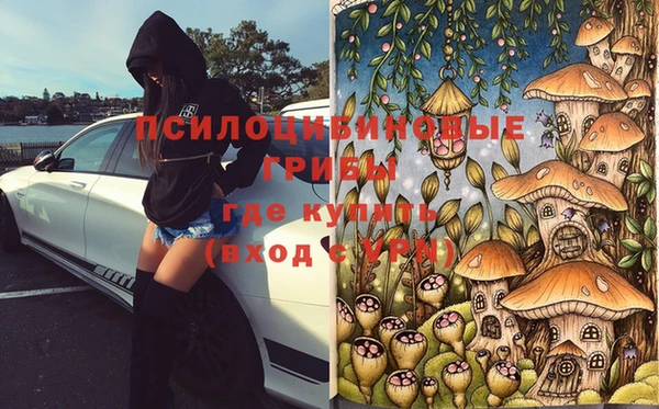 молекула духа Абинск