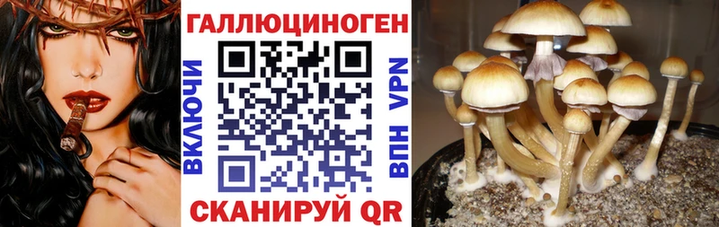 Псилоцибиновые грибы мицелий  ОМГ ОМГ сайт  Алдан 